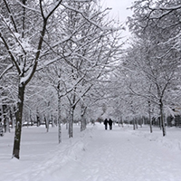 Вербовская Светлана