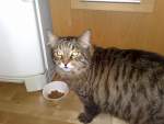 /upload/gallery/20081012220_small.jpg