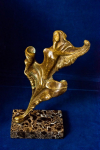 /upload/gallery/35421876_small.jpg