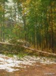 Первый снег. Боровое. Казахстан