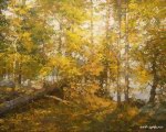 В осеннем лесу