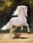 Белая лошадь
