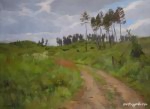 Вырубленный лес