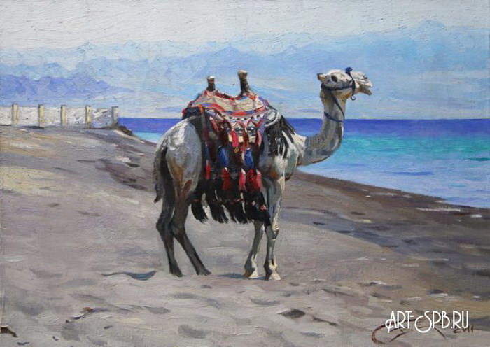 Акабский залив Акабский залив