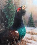 Глухарь