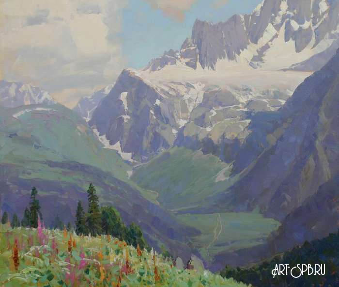 Лето. Софийский ледник Лето. Софийский ледник