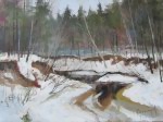 Зимний лес