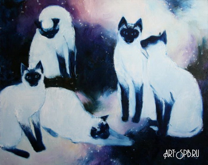 Космокошки Космокошки