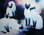 Космокошки