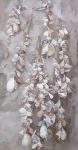 Ракушки