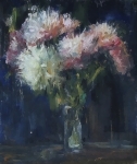 Астры