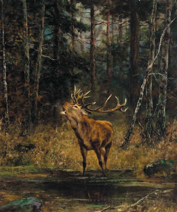 Олeнь. Евгений Тихменев