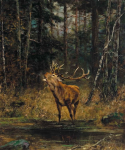 Олeнь. Евгений Тихменев