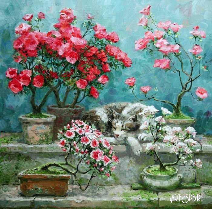 Коллекция Коллекция