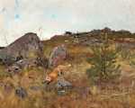 Погоня. Бруно Лильефорс