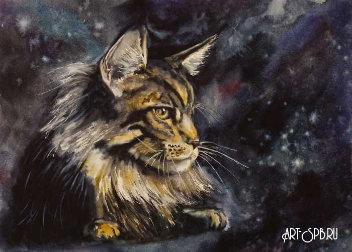 Кот мейн-кун Кот мейн-кун