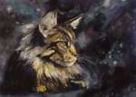 Кот мейн-кун