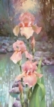 Ирисы у воды