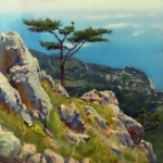 Горная сосна