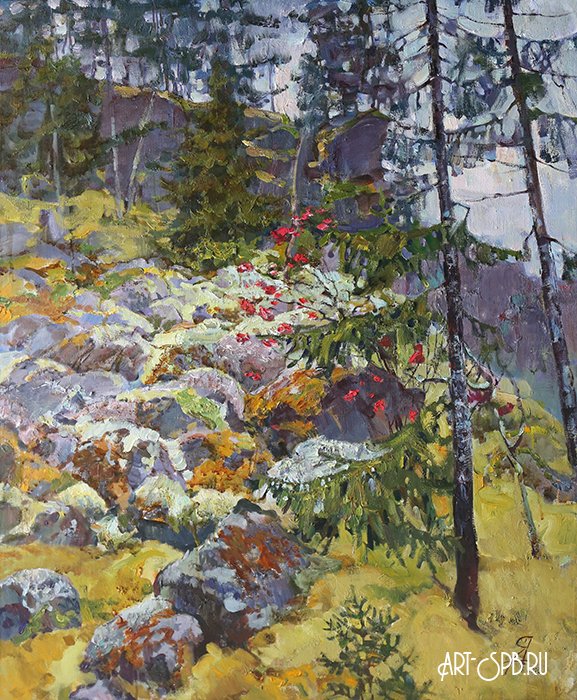 Карельские мхи Карельские мхи