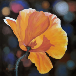 Мак