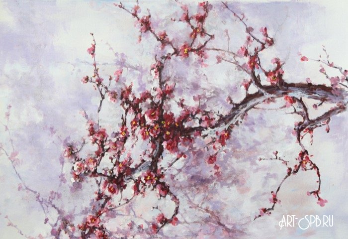 Цветущая сакура