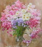 Флоксы