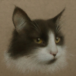 Портрет кошки