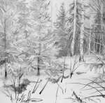Зимний лес