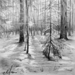 Зимний закат в лесу