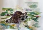 У воды