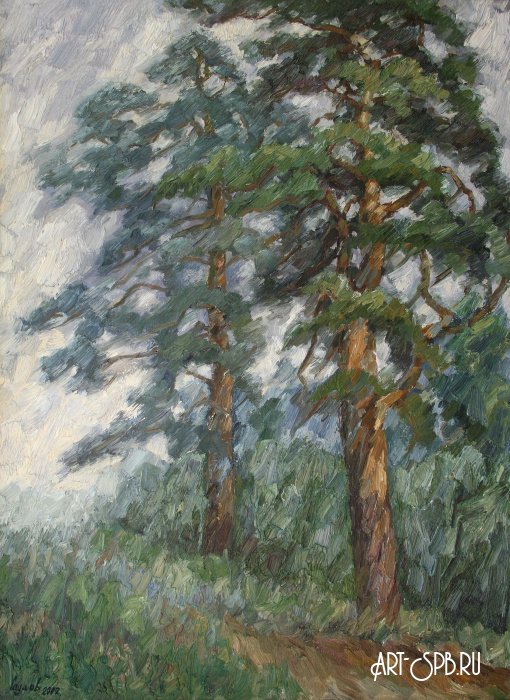 Сосны. Дождь