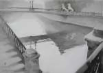 Львиный мостик Львиный мостик
