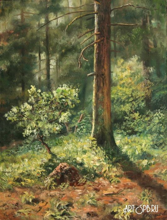 Муравейник