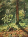 Муравейник