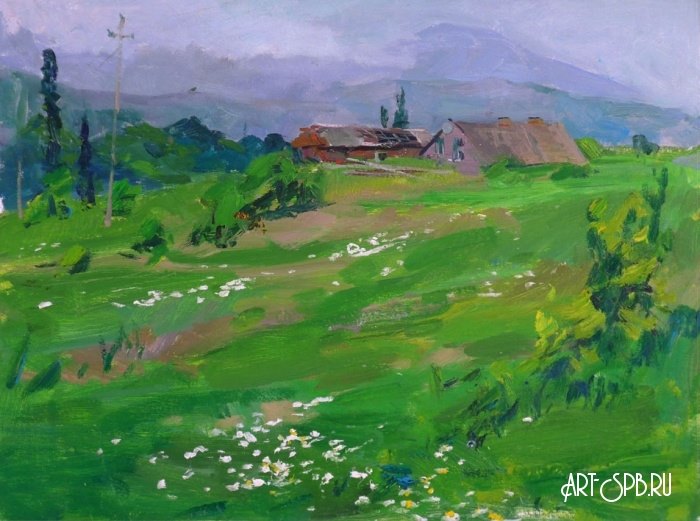 Ромашки Ромашки