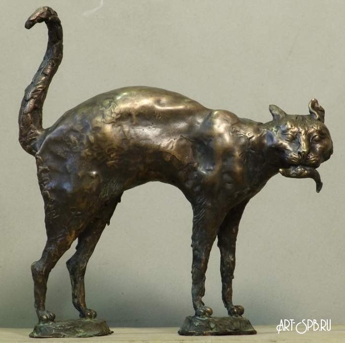 Кот-рыболов