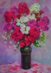 Флоксы