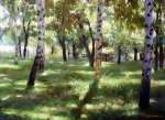 В тени берёз