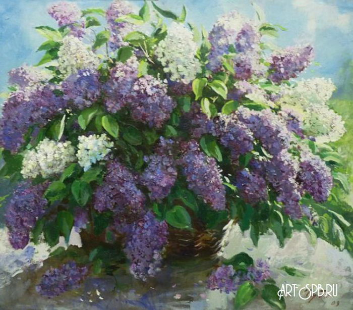 Сирень
