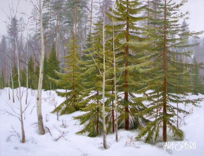 Зимний лес Зимний лес