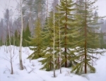 Зимний лес
