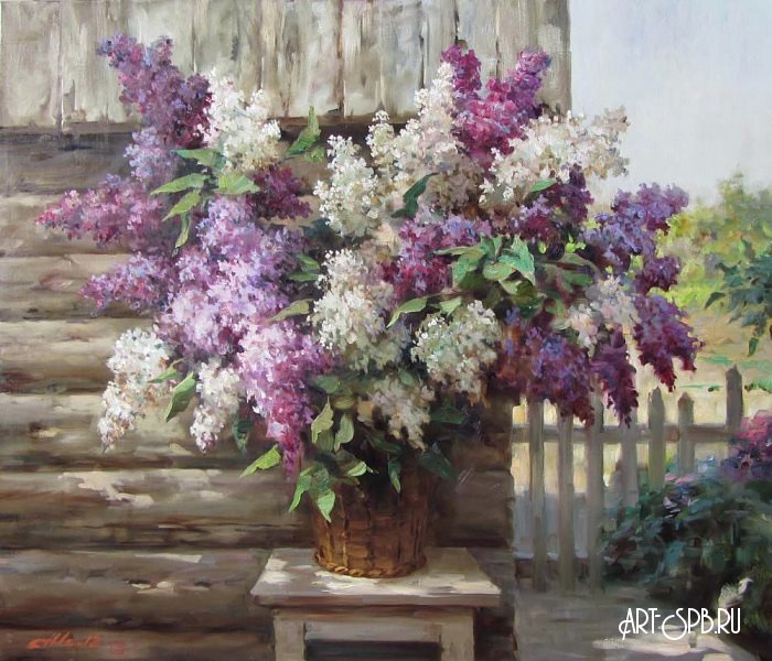 Сирень Сирень
