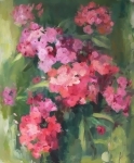 Розовые флоксы