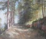Валаам. Лесная тропинка
