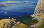 Байкал. Чайки